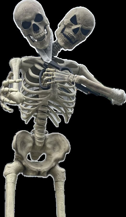 Two-headed skeleton